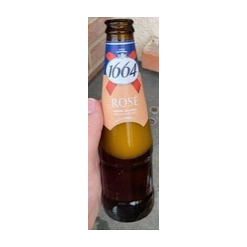 1664 Rose